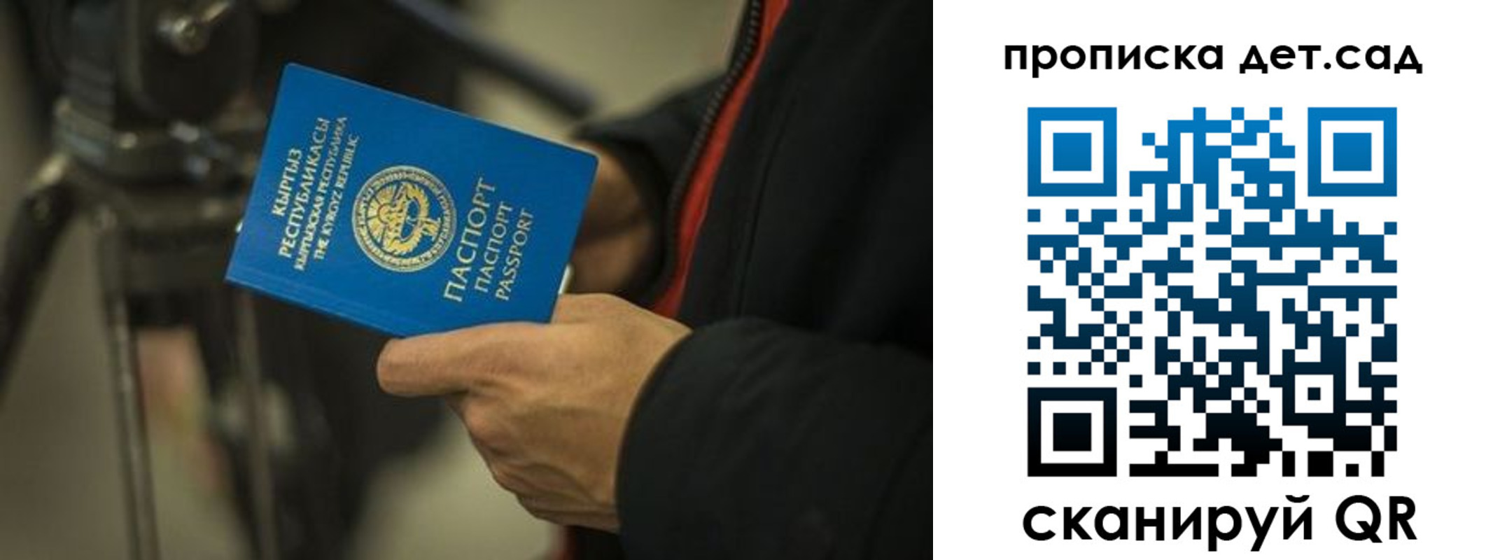 прописка поиск в Зверево